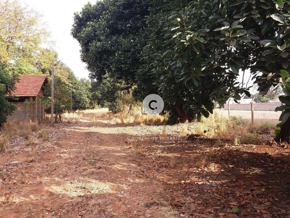 Chácara, 3 quartos, 3 hectares - Foto 2