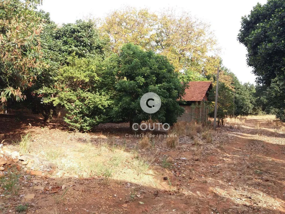 Chácara, 3 quartos, 3 hectares - Foto 3