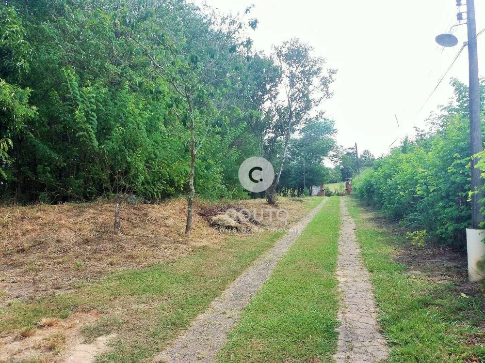 Chácara, 8 quartos, 5000 m² - Foto 3