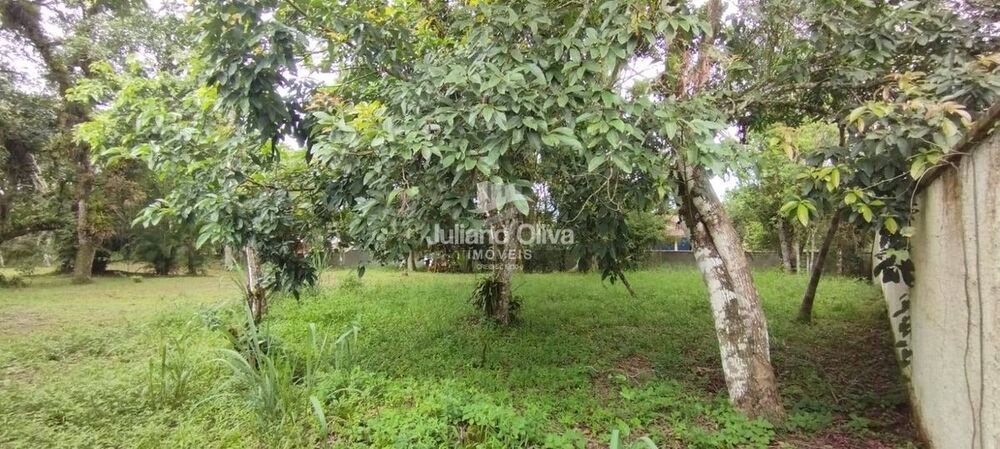 Terreno, 360 m² - Foto 3