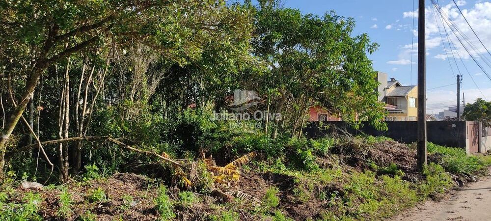 Terreno, 360 m² - Foto 5