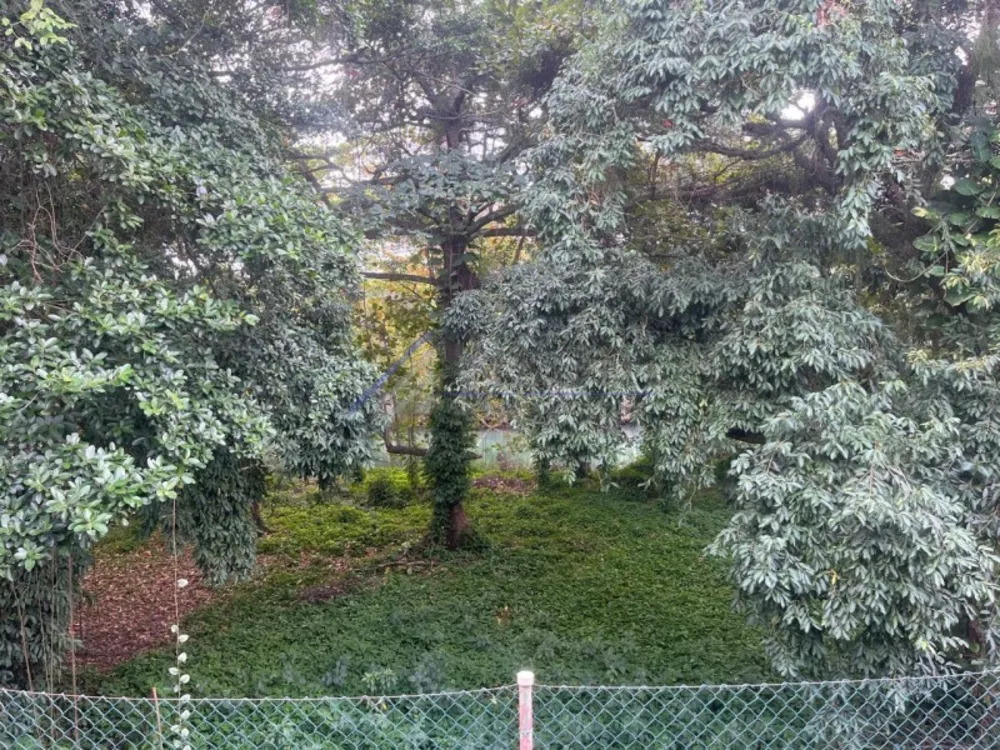 Casa, 3 quartos, 263 m² - Foto 10