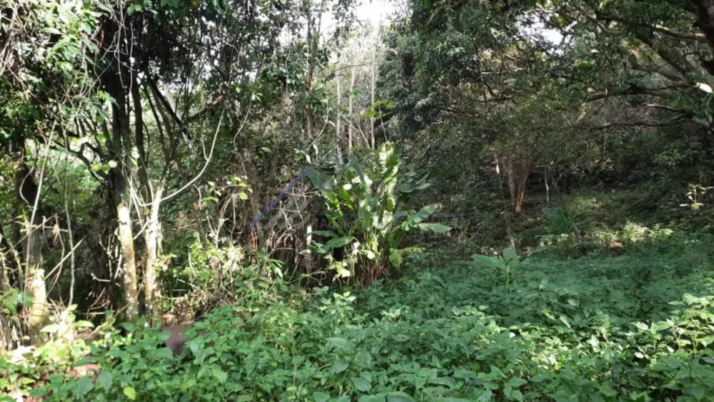 Terreno, 24 hectares - Foto 10
