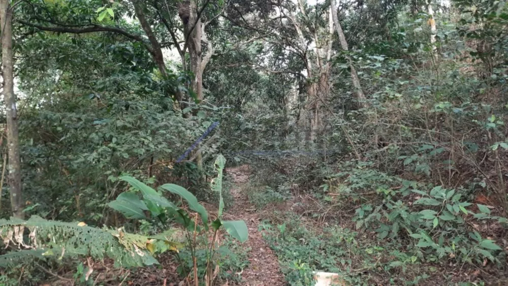Terreno, 24 hectares - Foto 12