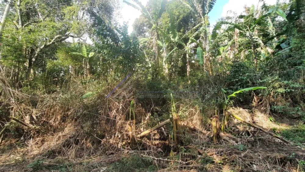 Terreno, 24 hectares - Foto 8