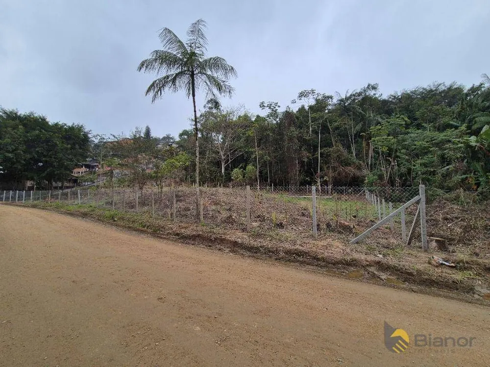 Terreno, 2 hectares - Foto 9