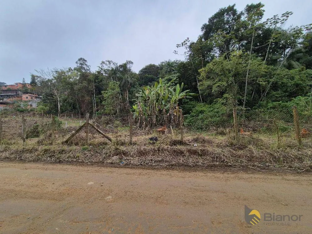 Terreno, 2 hectares - Foto 11