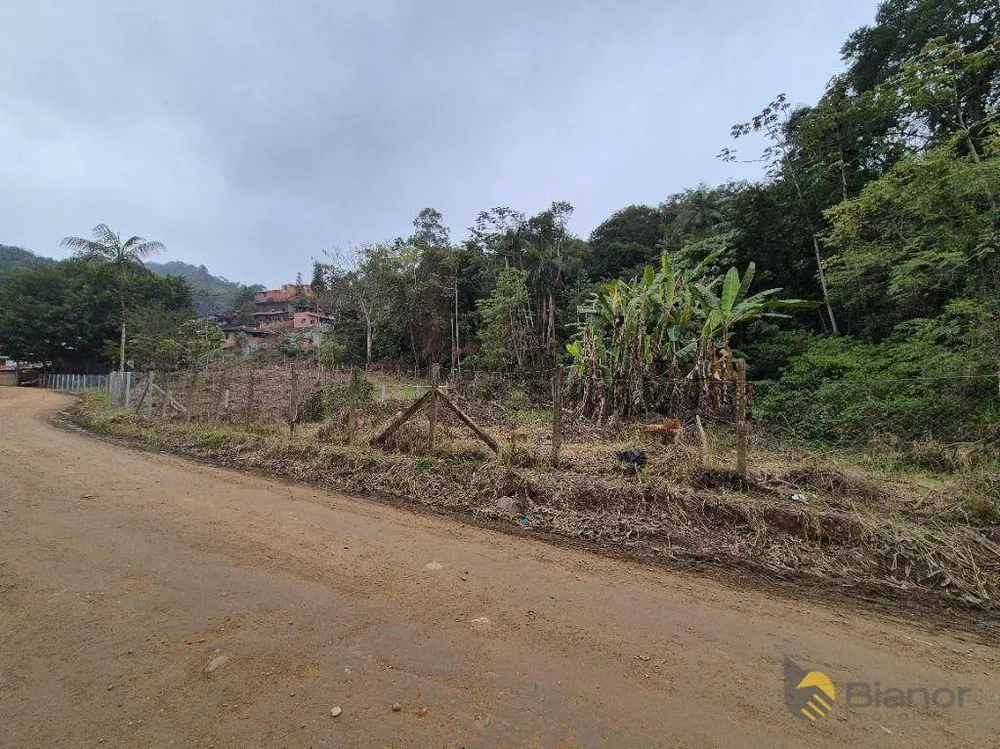 Terreno, 2 hectares - Foto 4