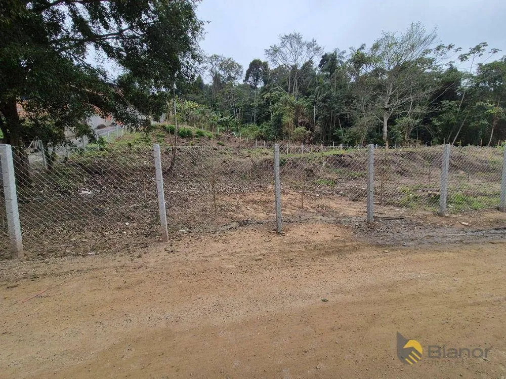 Terreno, 2 hectares - Foto 6
