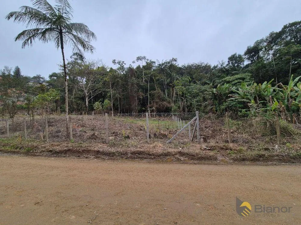 Terreno, 2 hectares - Foto 3