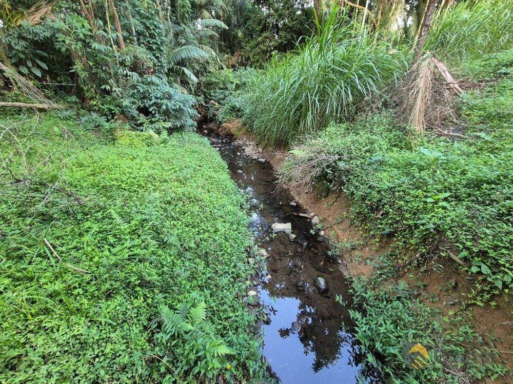 Chácara, 3 quartos, 2 hectares - Foto 3