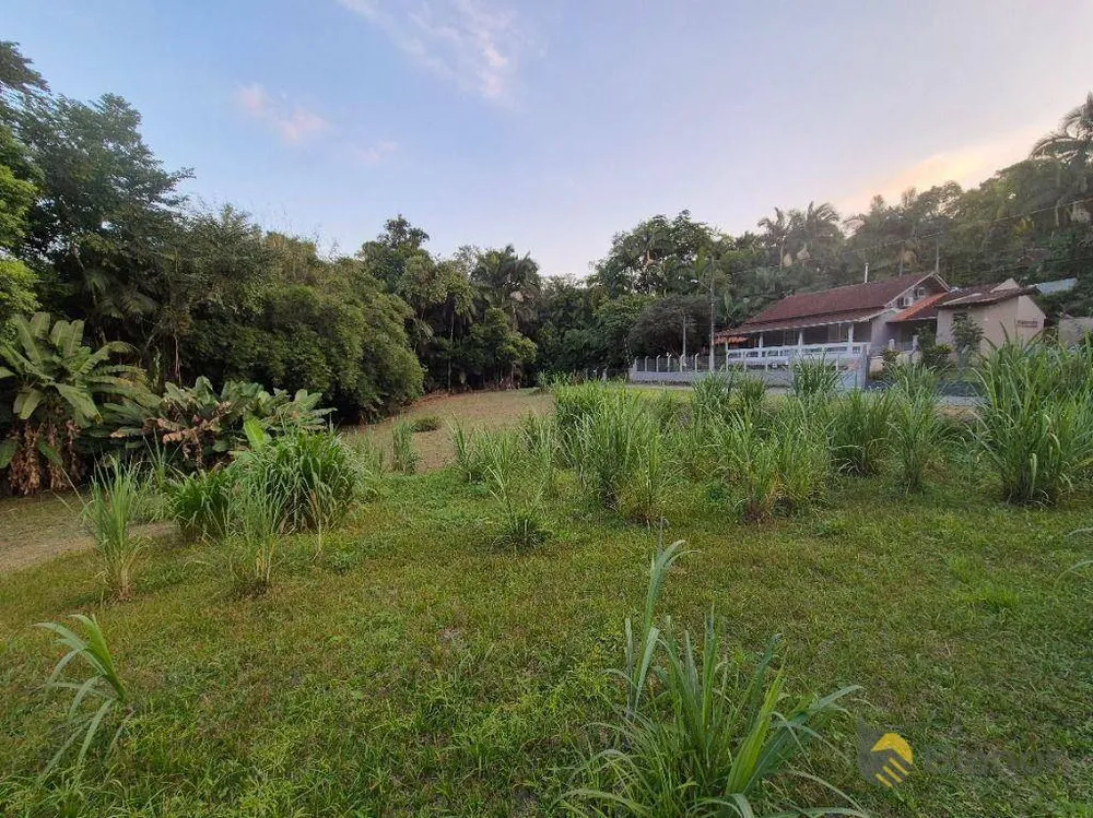 Chácara, 3 quartos, 2 hectares - Foto 7