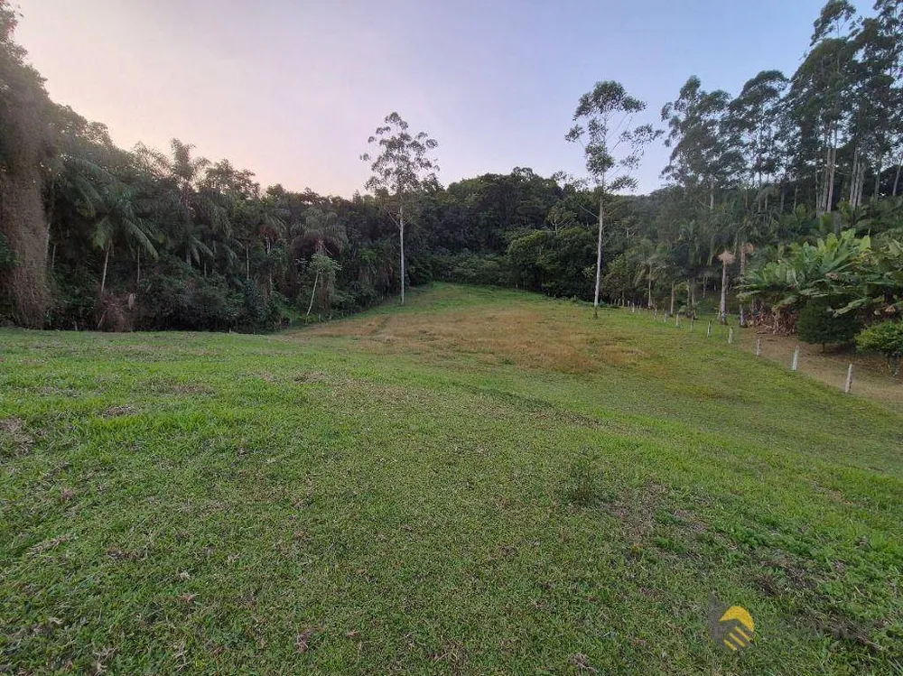 Chácara, 3 quartos, 2 hectares - Foto 6