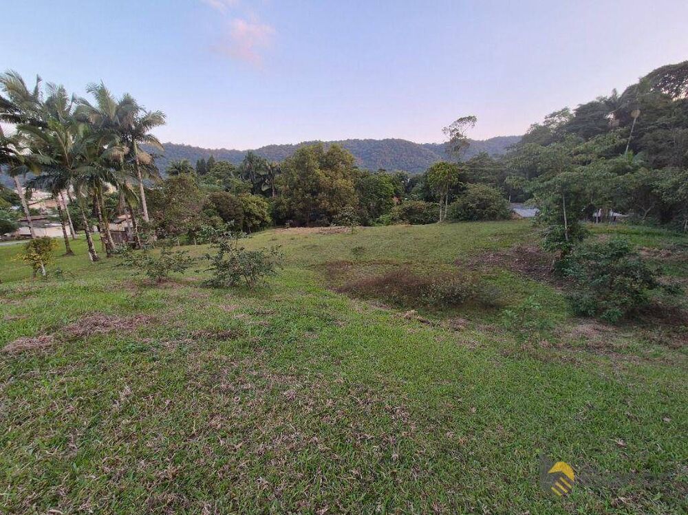 Chácara, 3 quartos, 2 hectares - Foto 1