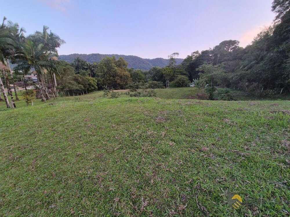 Chácara, 3 quartos, 2 hectares - Foto 2