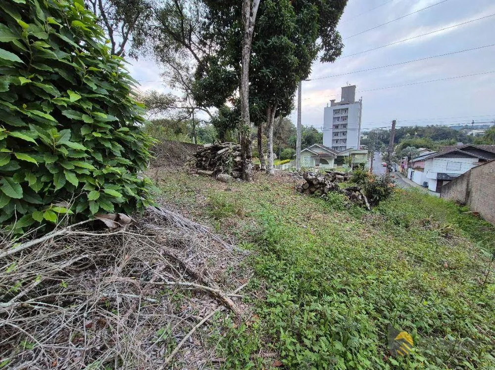 Terreno, 1911 m² - Foto 14