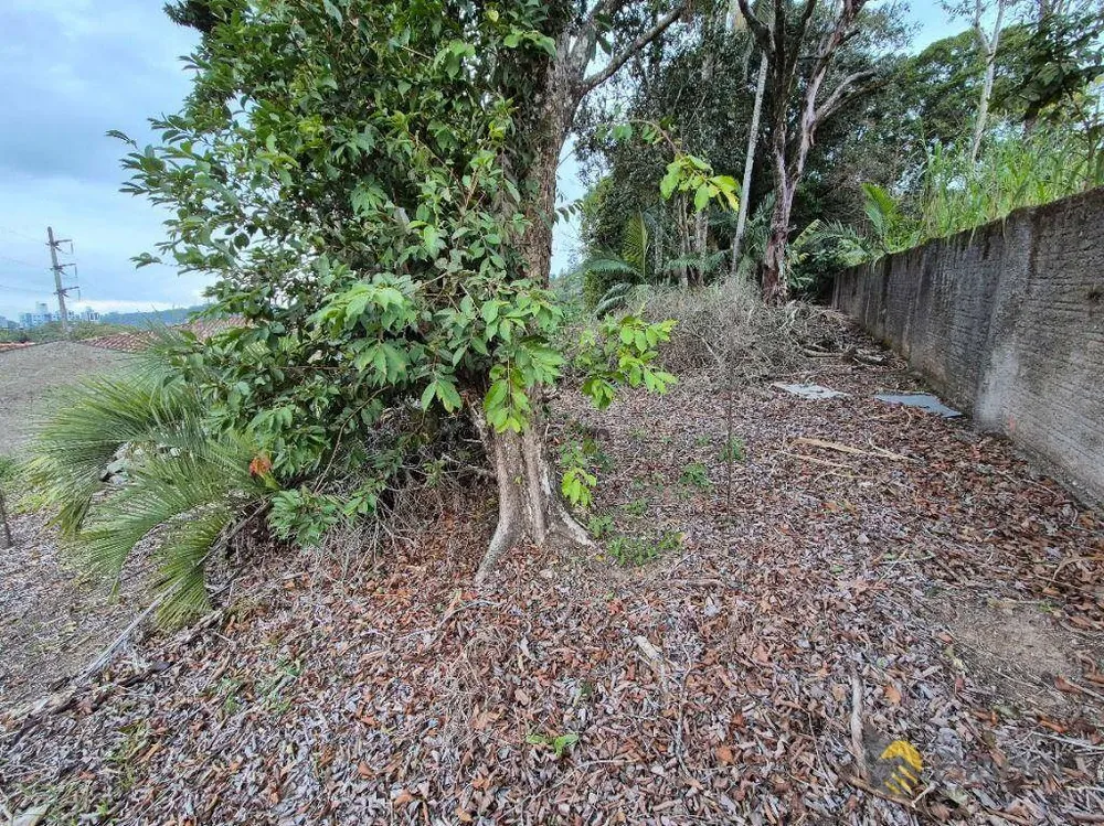 Terreno, 1911 m² - Foto 13