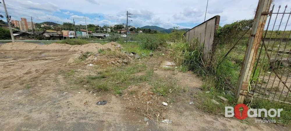 Terreno, 1 hectares - Foto 4