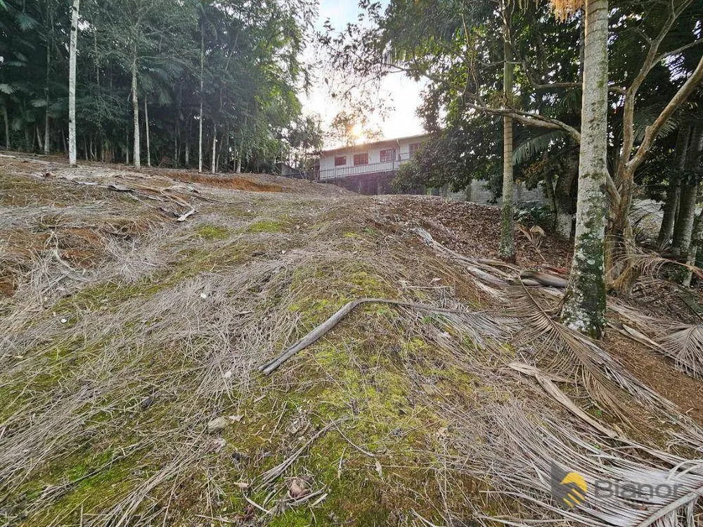 Terreno, 3135 m² - Foto 12