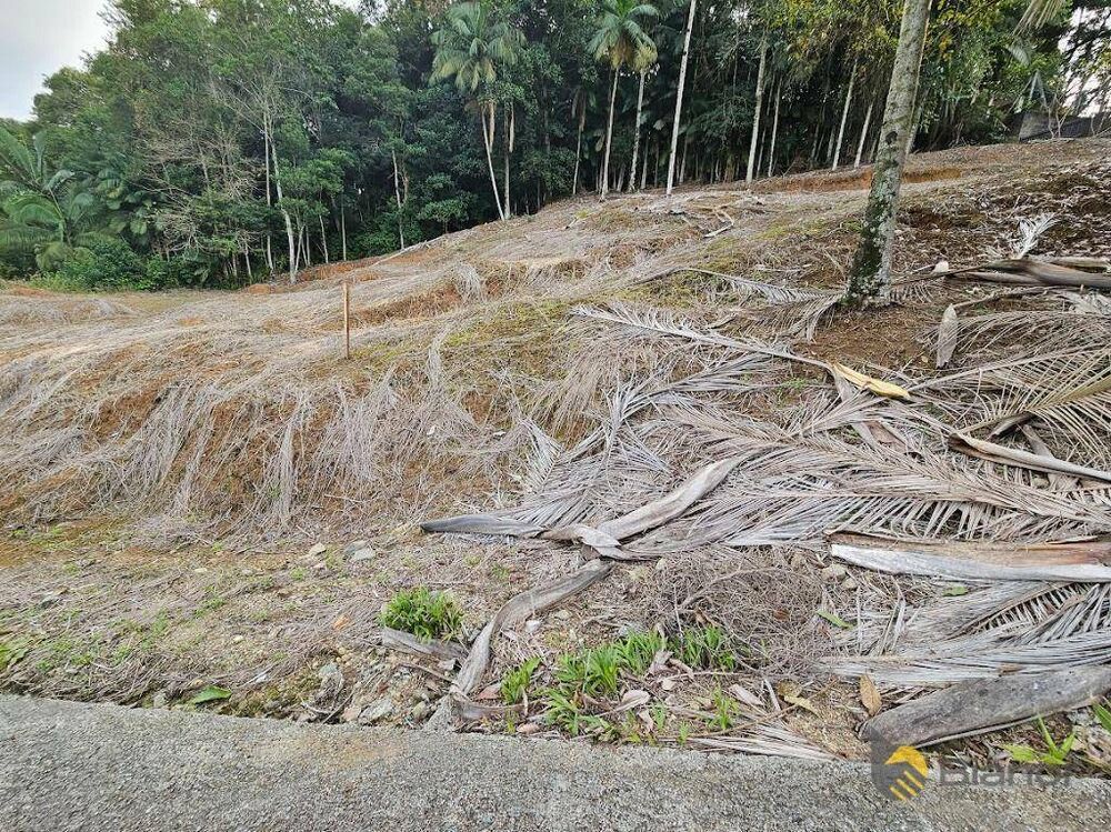 Terreno à venda, 3135M2 - Foto 3