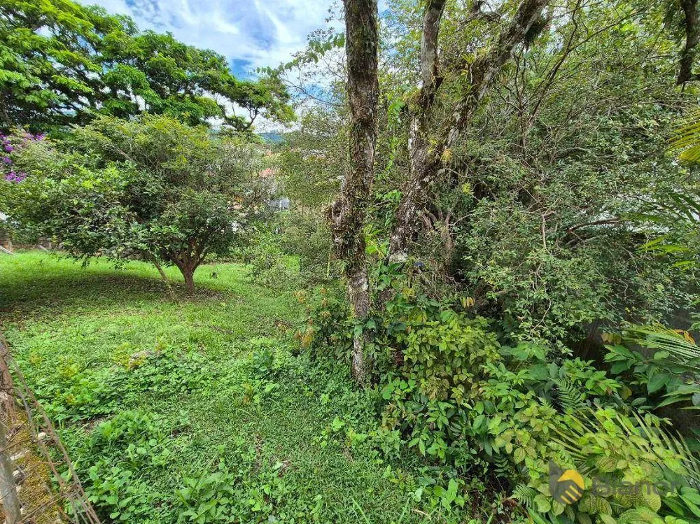 Terreno, 349 m² - Foto 3