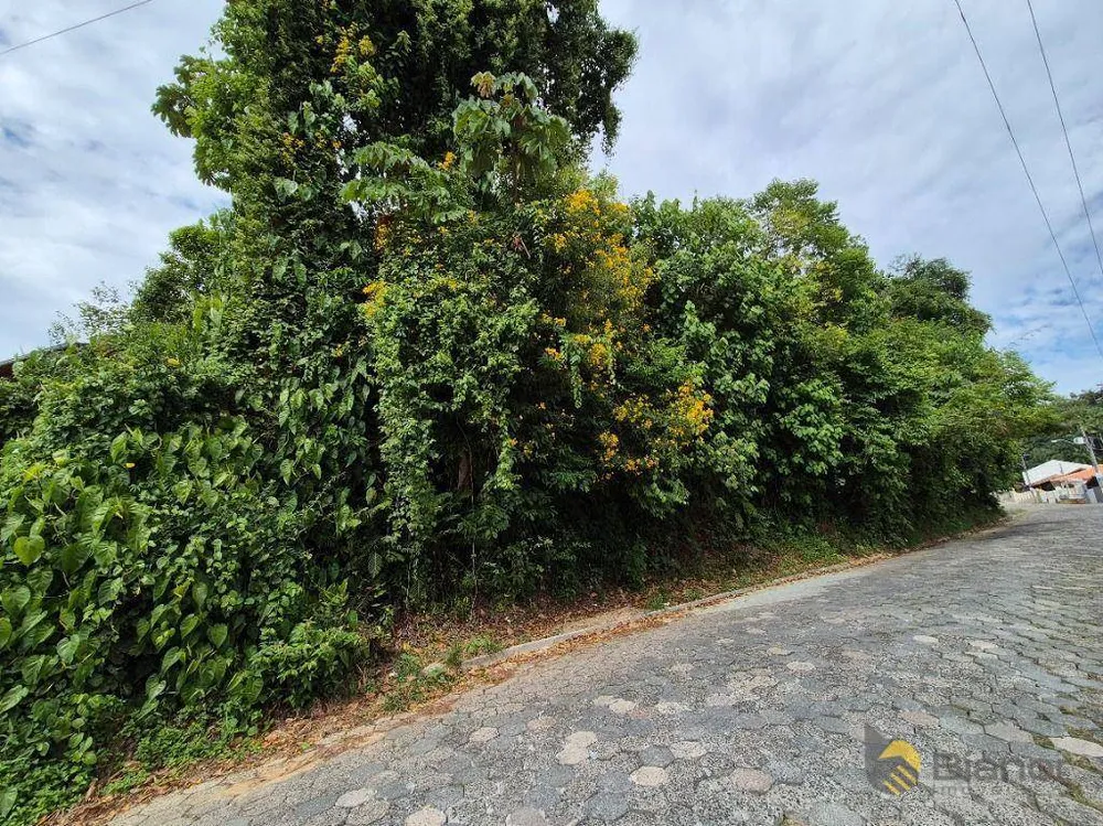 Terreno, 693 m² - Foto 5