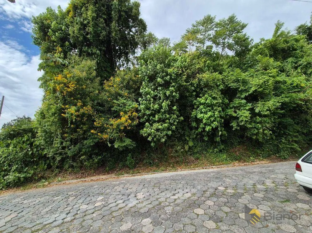 Terreno, 693 m² - Foto 4