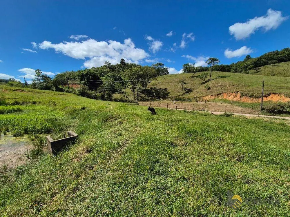 Sítio, 4 quartos, 11 hectares - Foto 6