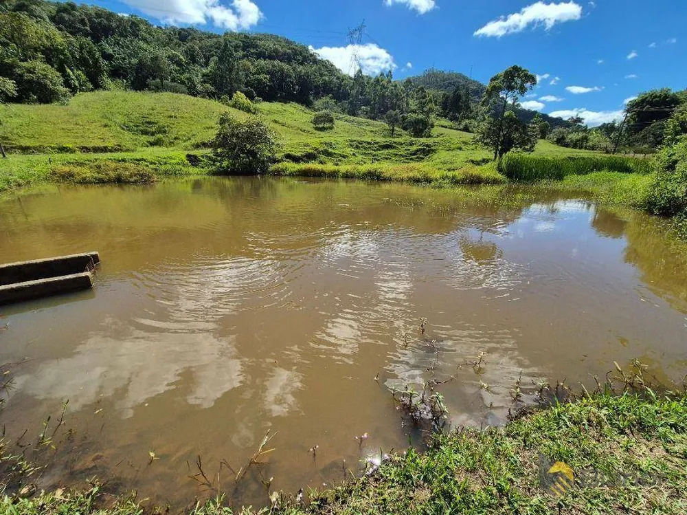 Sítio, 4 quartos, 11 hectares - Foto 10