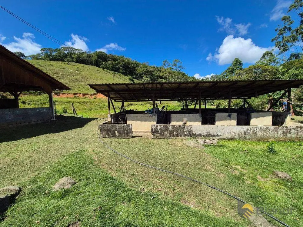 Sítio, 4 quartos, 11 hectares - Foto 1