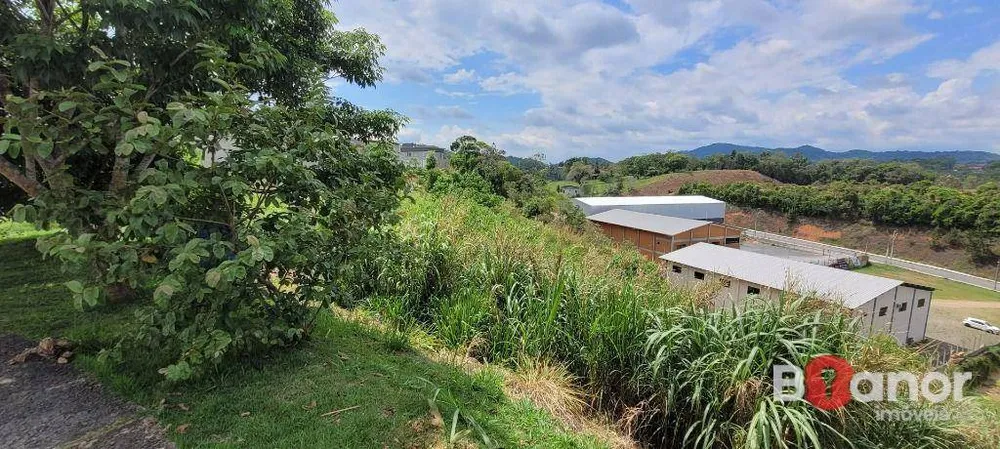 Terreno, 4658 m² - Foto 4