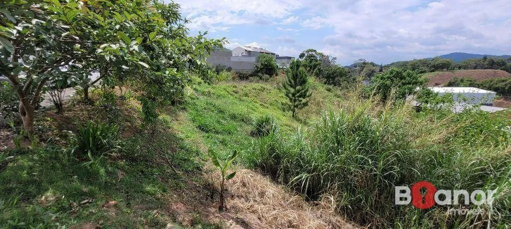 Terreno, 4658 m² - Foto 3