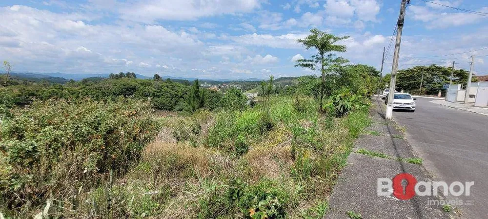 Terreno, 4658 m² - Foto 6