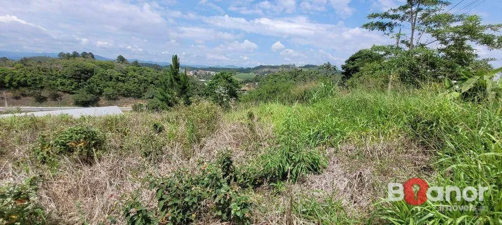 Terreno, 4658 m² - Foto 5