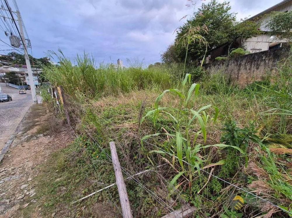 Terreno, 343 m² - Foto 6