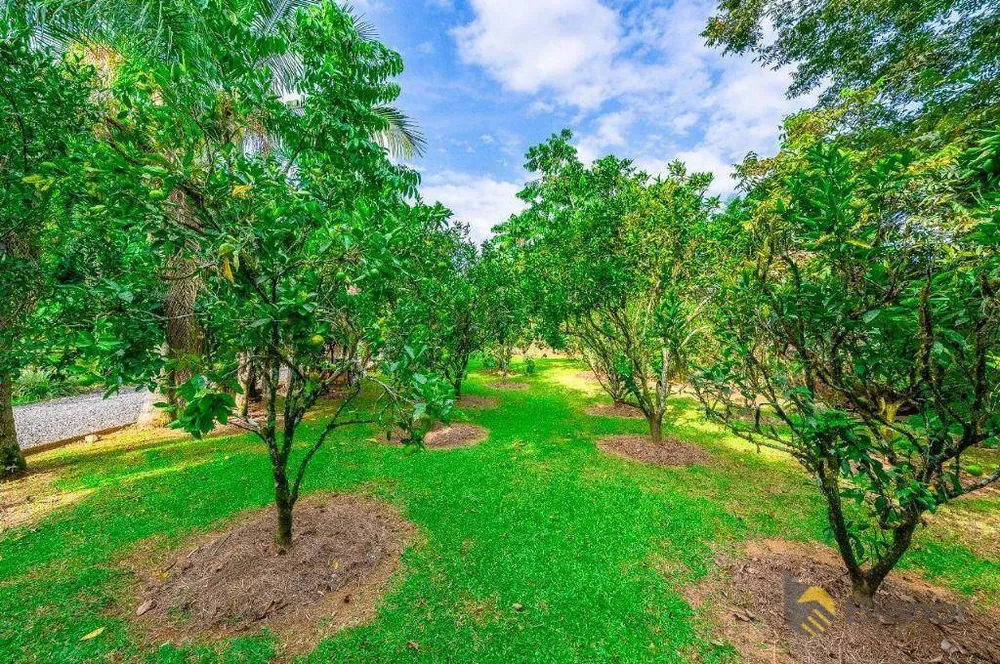 Sítio, 3 quartos, 10 hectares - Foto 4