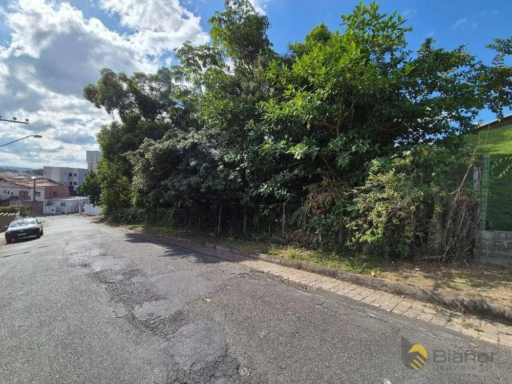 Terreno, 5618 m² - Foto 11