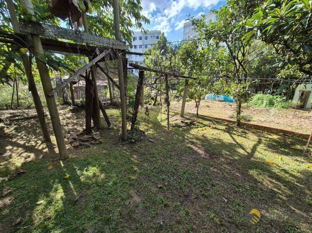 Terreno, 5618 m² - Foto 5
