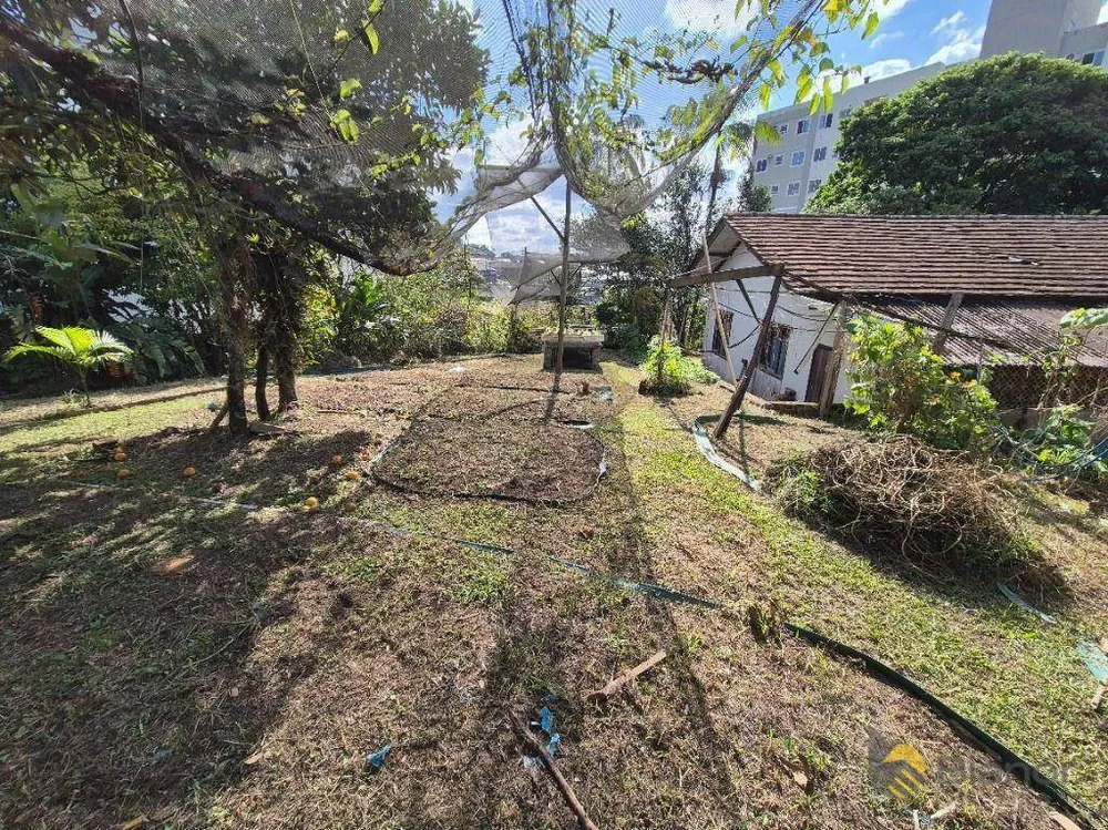 Terreno, 5618 m² - Foto 4