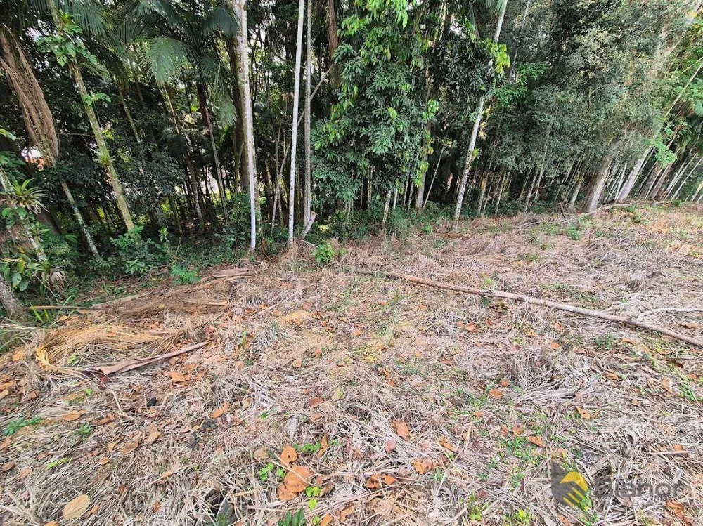 Loteamento e Condomínio, 765 m² - Foto 4