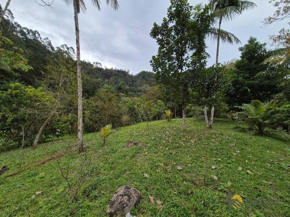 Sítio, 3 quartos, 5 hectares - Foto 14