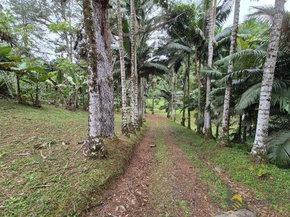 Sítio, 3 quartos, 5 hectares - Foto 10