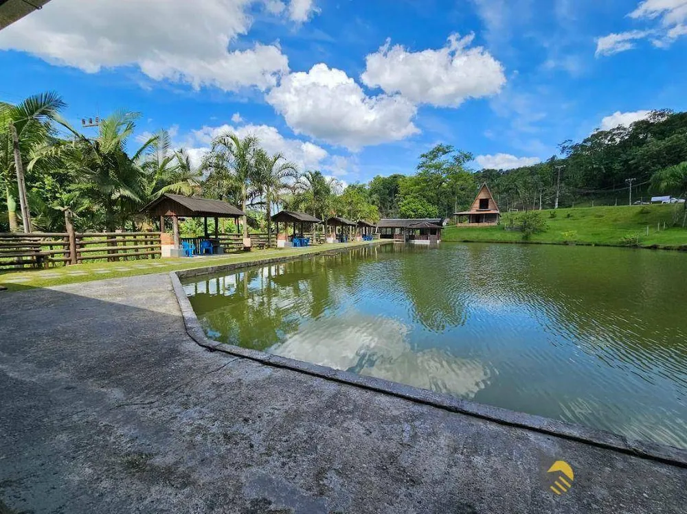 Sítio, 3 quartos, 5 hectares - Foto 1