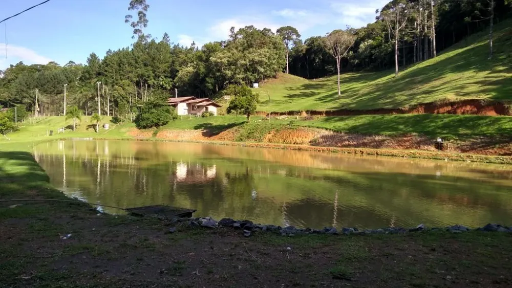 Sítio, 3 quartos, 5 hectares - Foto 3