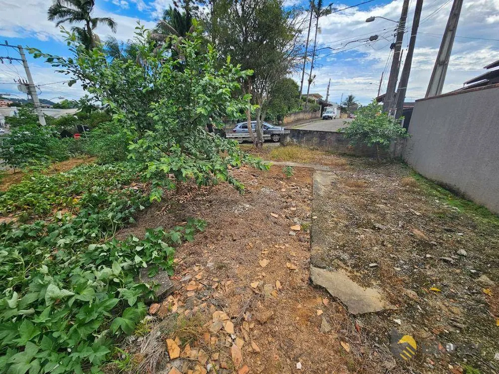 Terreno, 335 m² - Foto 6