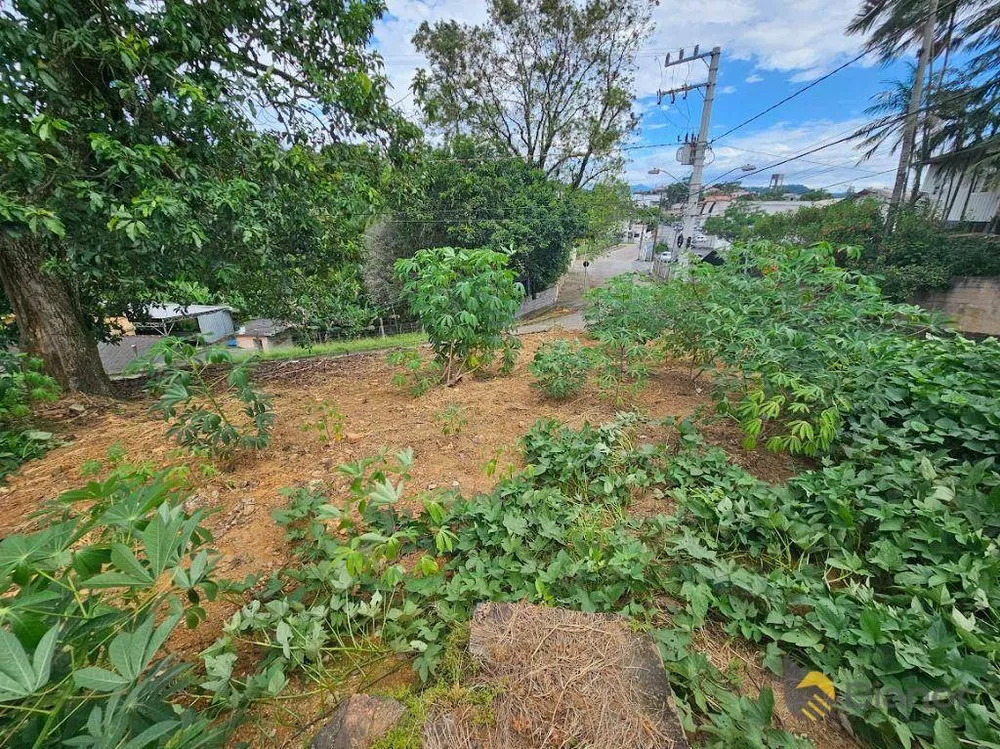 Terreno, 335 m² - Foto 4