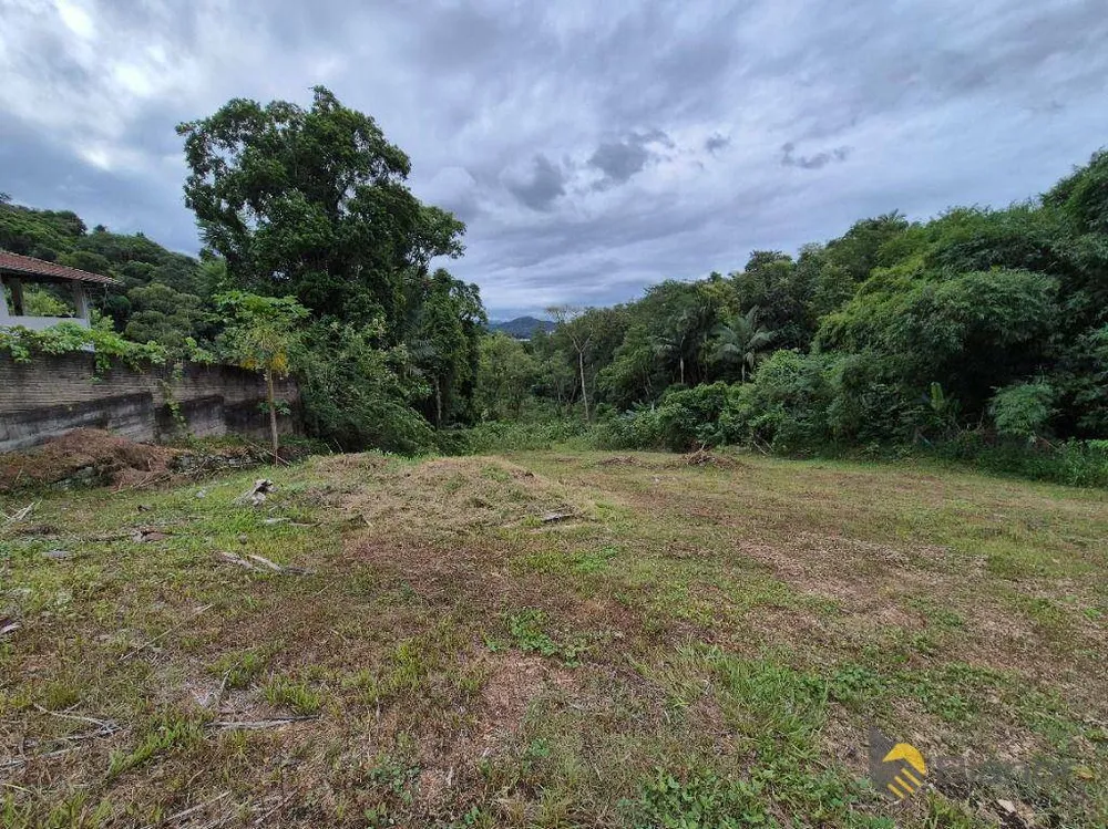 Terreno, 4287 m² - Foto 9