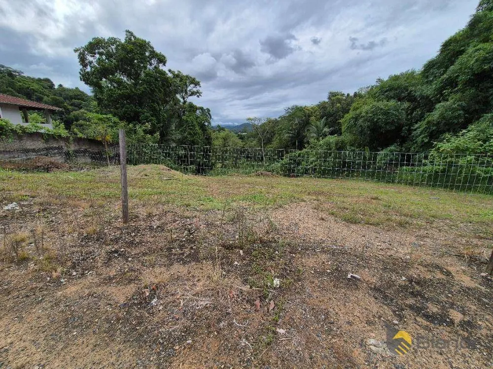 Terreno, 4287 m² - Foto 3