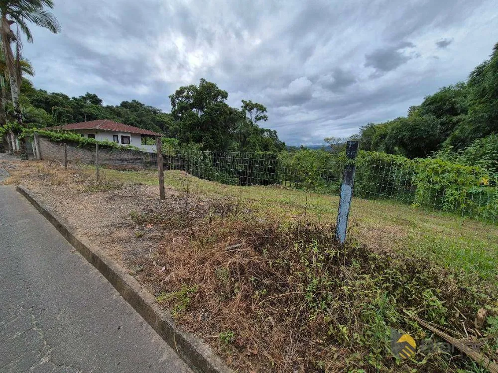 Terreno, 4287 m² - Foto 4
