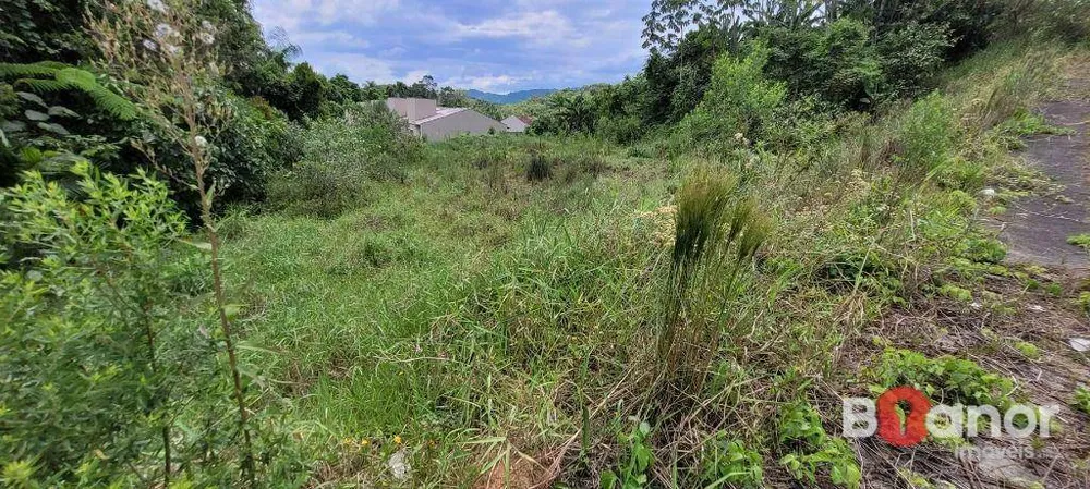 Loteamento e Condomínio, 570 m² - Foto 3